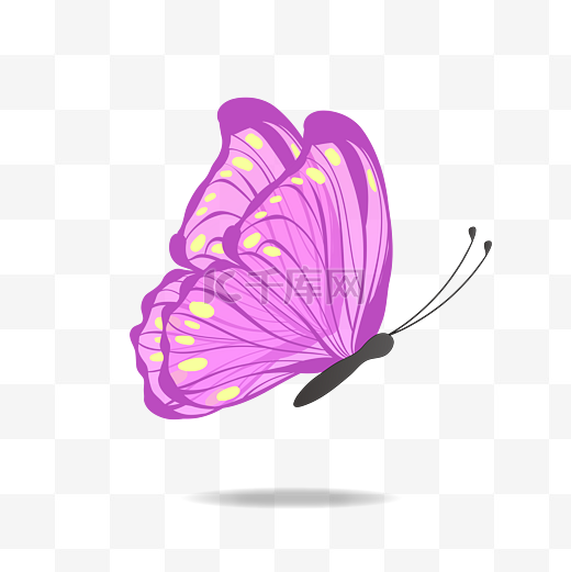 矢量蝴蝶翅膀唯美紫色翩翩起舞图片