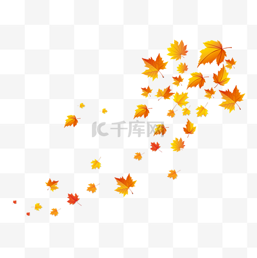 秋天风吹落的枫树叶图片