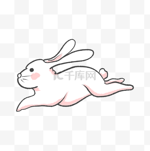 可爱跳跃奔跑的兔子图片