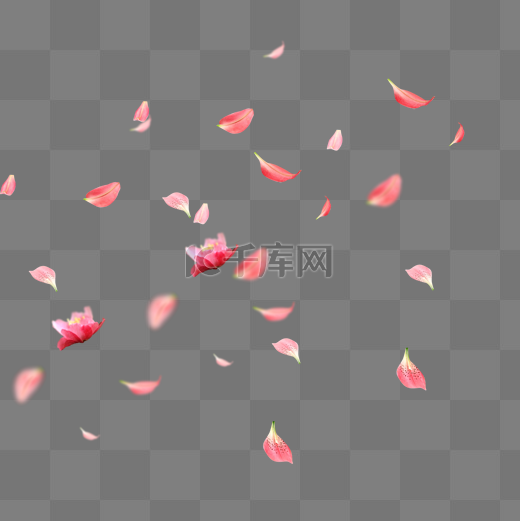 漂浮的粉色花瓣图片