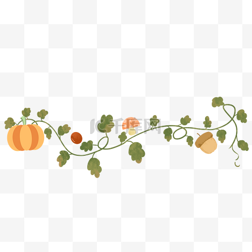 秋天植物食物南瓜藤蔓分割线图片