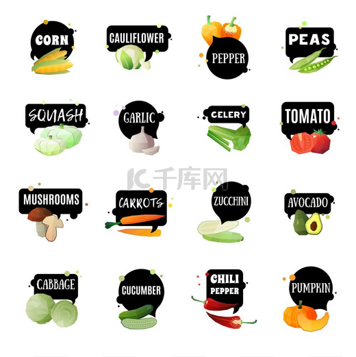 带标签的蔬菜套装蔬菜标签集有16个独立的花园制作的绿色杂货多边形图像和适当的命名标签矢量插图图片