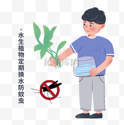 水生植物定期换水夏季防蚊图片