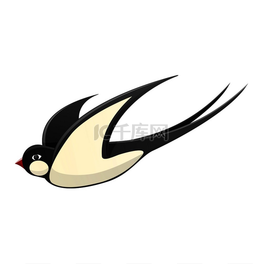 春天卡通黑色和白色燕子与红色喙在运动中隔离在白色背景。图片