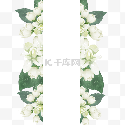 茉莉花边框绿色植物水彩花卉图片