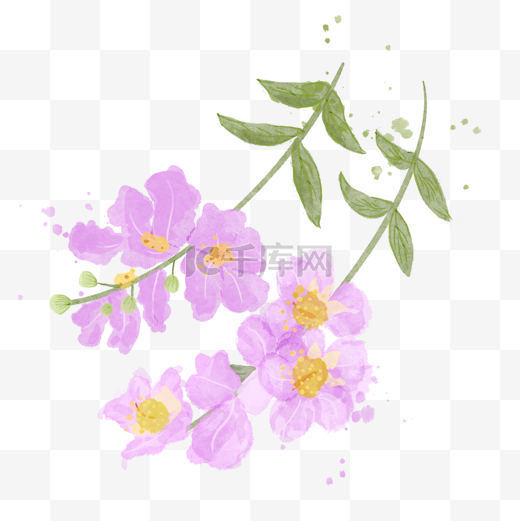 紫薇花水彩风格花朵树枝图片