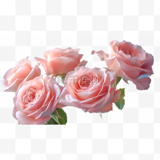 高清免扣花卉摄影粉玫瑰设计素材图片
