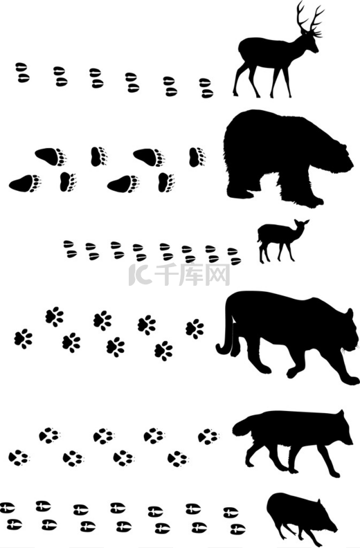 六动物与上白色的曲目图片