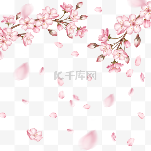 春季光效粉色樱花花瓣飘落图片