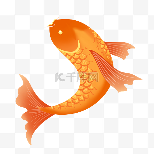 新年红色锦鲤鱼好运年年有余动物鱼国潮图片
