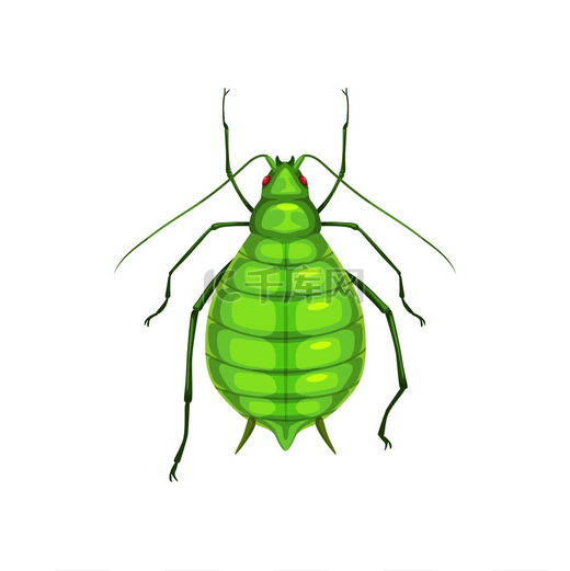 蚜虫、寄生虫害虫防治和农业杀虫服务、分离载体。图片