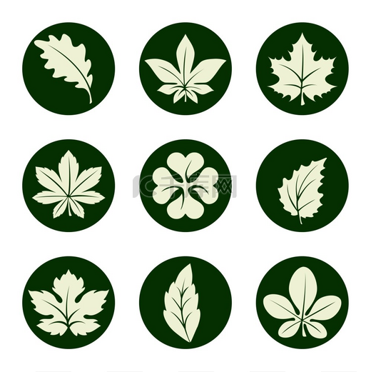 保留图标集保留图标集大理石桦树橡树三叶草和其他绿色圆圈中的叶子图标矢量插图图片