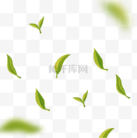 春季植物绿茶茶叶图片