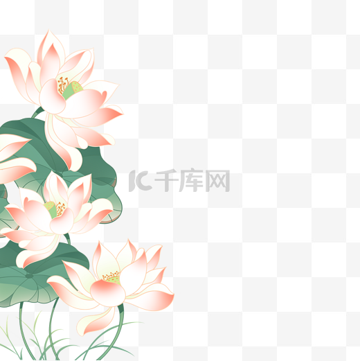 国风新中式荷花花卉侧边花朵装饰图片