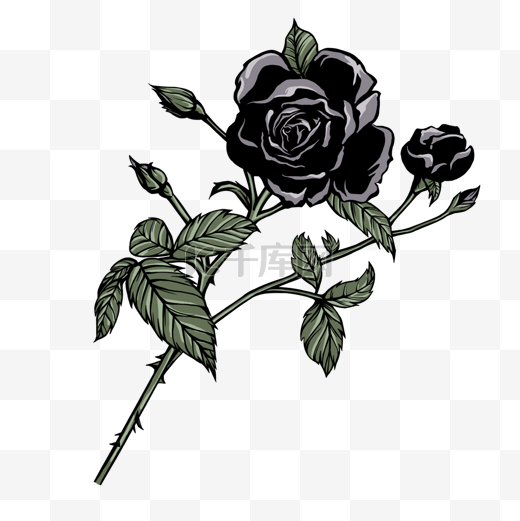玫瑰花黑色的带叶子图片