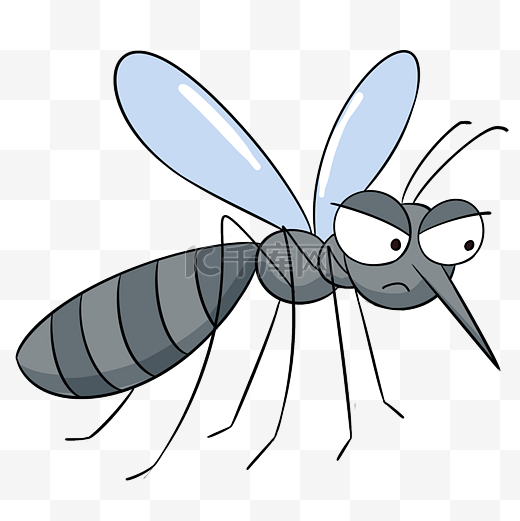 夏季昆虫蚊子图片
