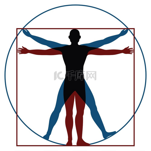 维特鲁威人莱昂纳多·达芬奇人体完美的圆形和方形解剖比例矢量文艺复兴健康男性剪影维特鲁威人莱昂纳多·达芬奇人体完美的圆形和方形解剖比例矢量轮廓图片