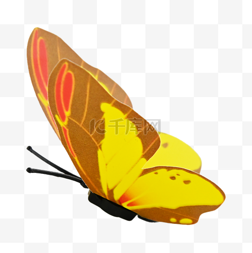蝴蝶黄色装饰图片