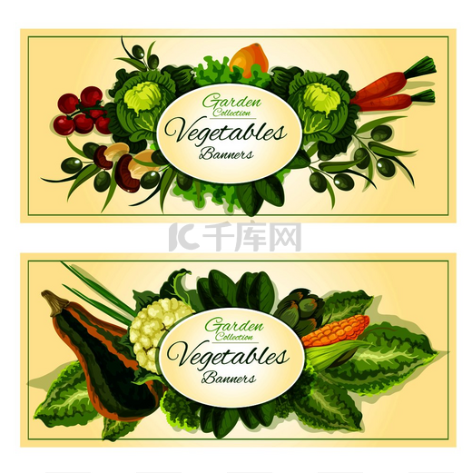 健康的农场蔬菜和水果横幅，包括番茄、葱、胡萝卜、蘑菇、橄榄、柠檬、生菜、卷心菜、玉米、西葫芦、花椰菜、洋蓟和绿色沙拉。图片