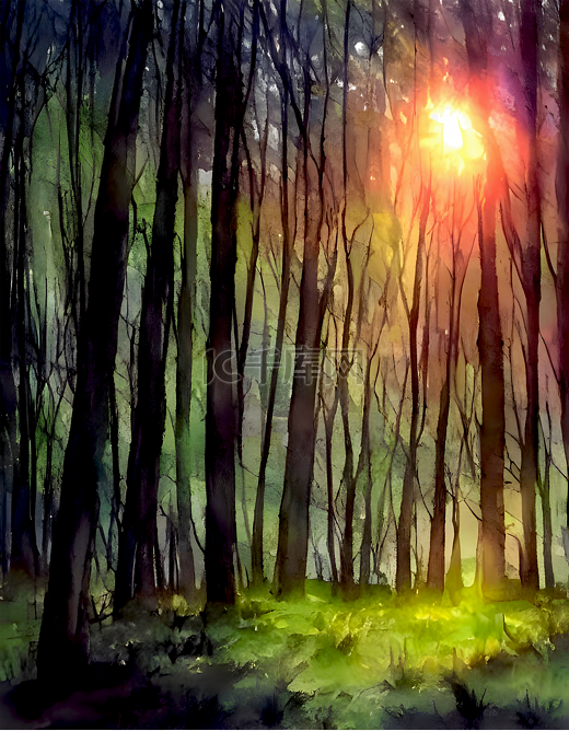 阳光投射下的树林图片