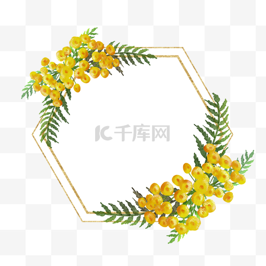 艾菊花卉水彩六边形边框图片