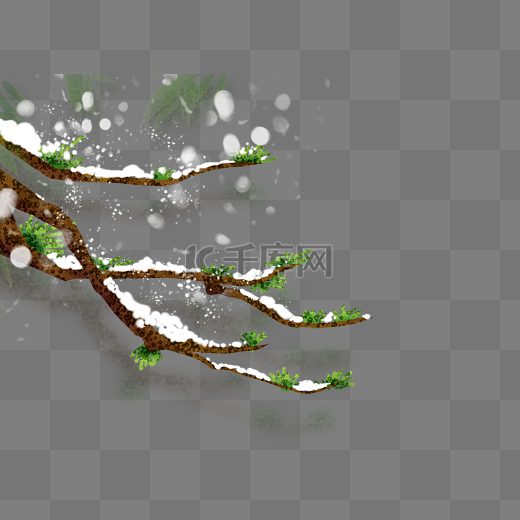 冬季冬天积雪挂雪树枝小雪大雪松树图片