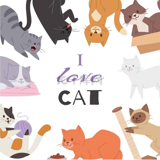 可爱的小猫猫矢量海报与不同的小猫品种，玩具，和食物。多咪与我爱猫排版。插图图片