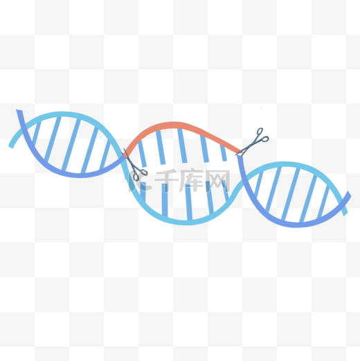 基因编辑技术医学研究图片