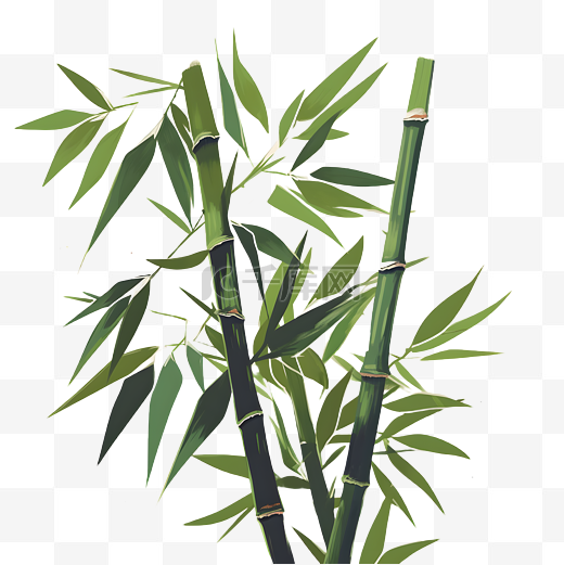 竹子竹叶植物手绘图片