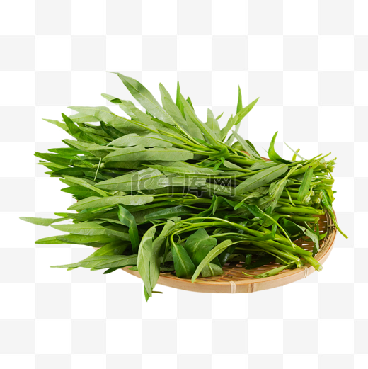 绿色蔬菜空心菜图片
