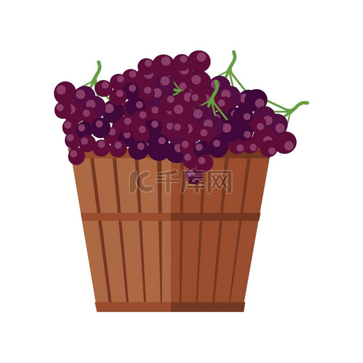 葡萄木篮红酒装有葡萄的木制篮子红色藤蔓准备水果检查精英年份烈性葡萄酒一串或一串葡萄葡萄总状花序葡萄酒系列生产项目的一部分矢量图片