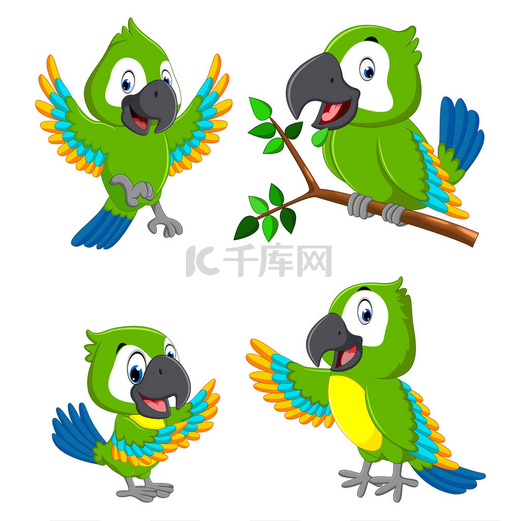 绿色鹦鹉的汇集以不同的表示图片