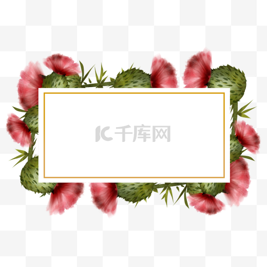 蓟花卉水彩红色长方形边框图片