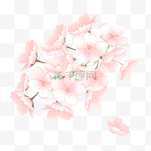 小清新多重花瓣樱花花枝装饰元素图片