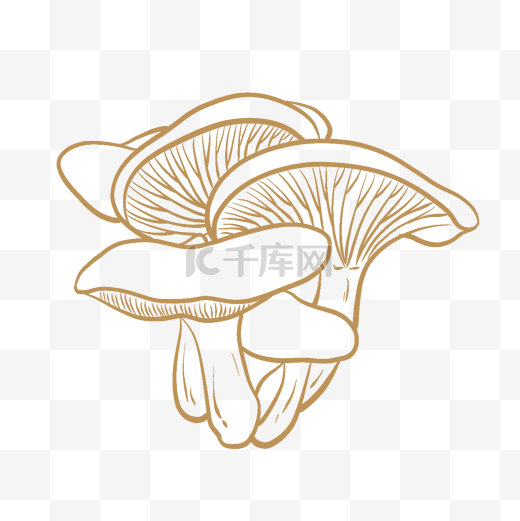 线描线稿蔬菜蘑菇图片