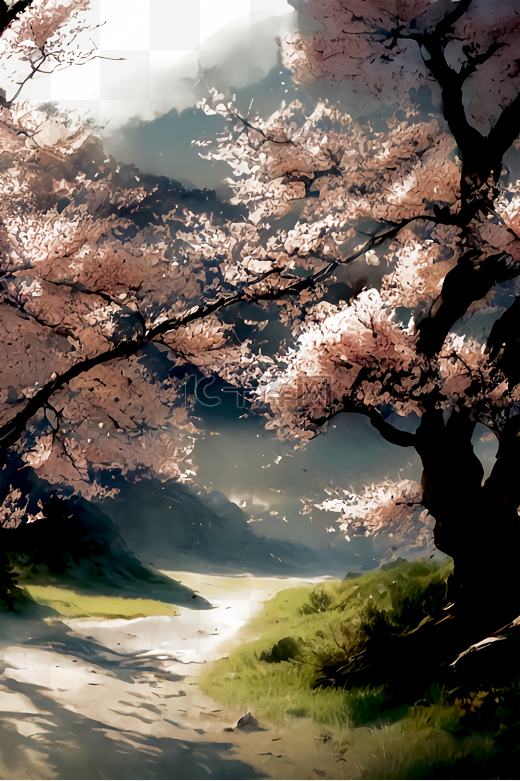 春季的樱花图片