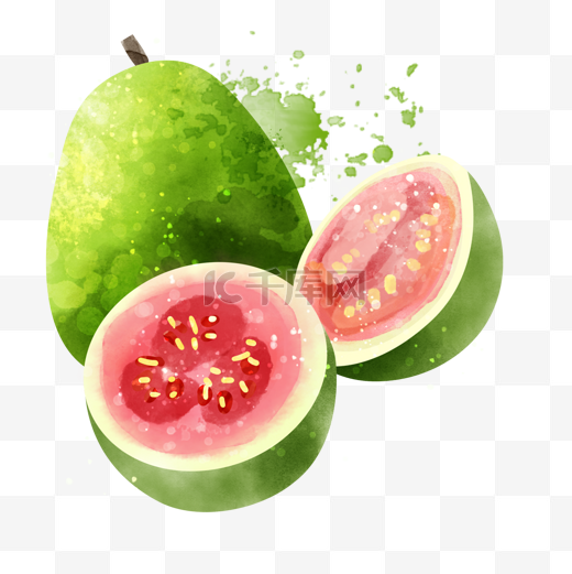 番石榴水彩水果营养丰富的食物图片