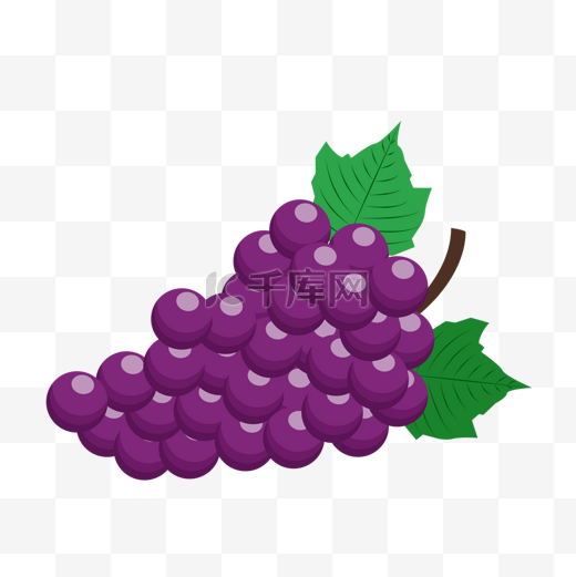 濯足节圣餐紫色美味葡萄图片