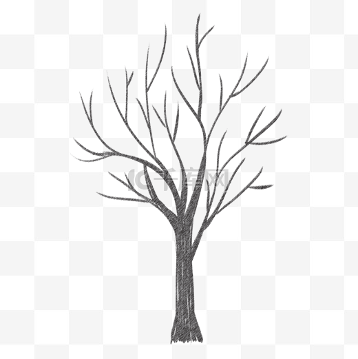 素描树干树枝线描图片