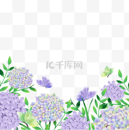 绣球花卉紫色水彩蝴蝶边框图片