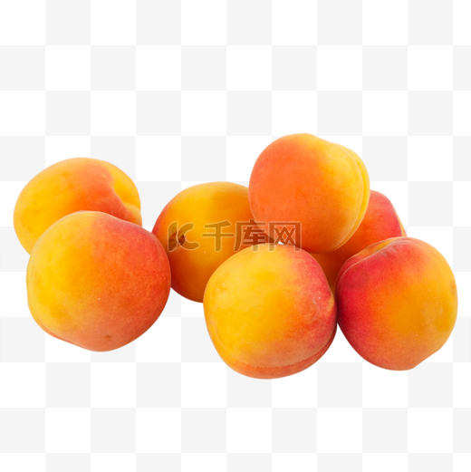 红杏甜杏杏子图片