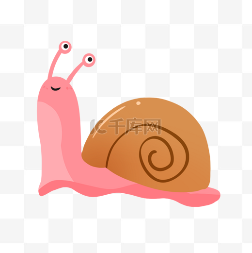 爬行动物蜗牛图片