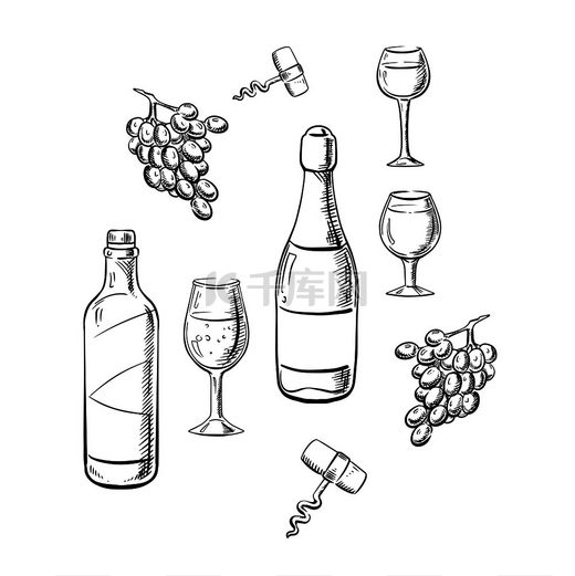 一瓶桌子和带酒杯的起泡酒，葡萄水果和素描风格的开瓶器，用于饮料或食物主题。图片