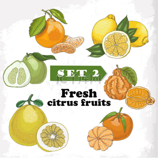设置 2 新鲜柑橘类水果的柠檬、 佛手柑、 尼奥、 柚、 克莱门泰因普通话图片