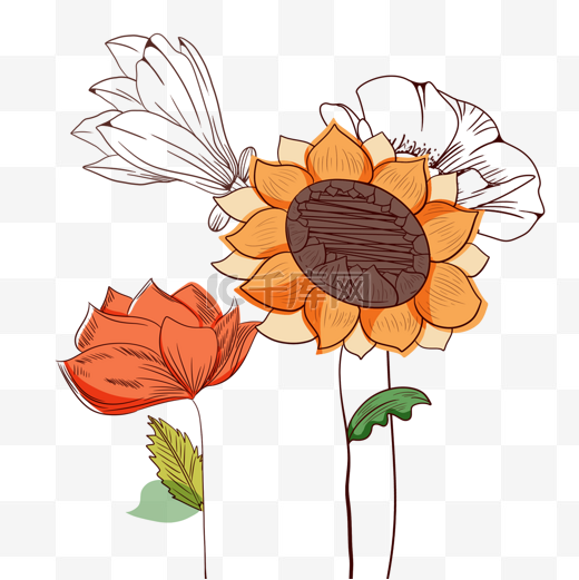 花卉抽象线稿向日葵装饰图片