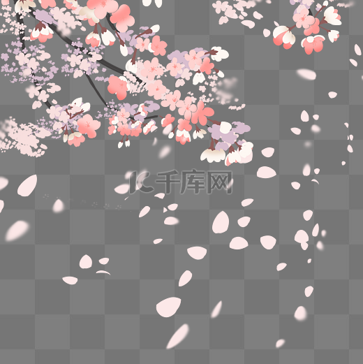 春天里盛开地樱花图片