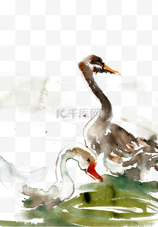 湖水中的天鹅水墨图片