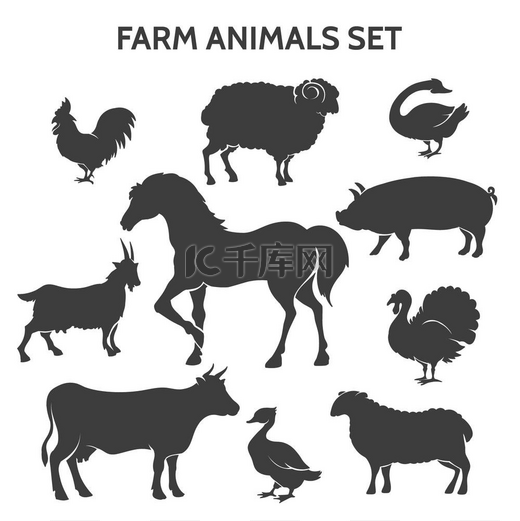 农场动物剪影。图片