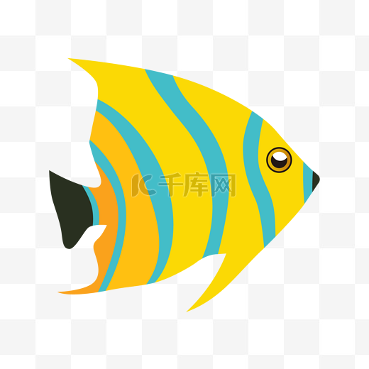 矢量鱼海洋生物鱼图片