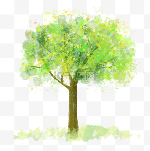 春天一棵绿色大树图片